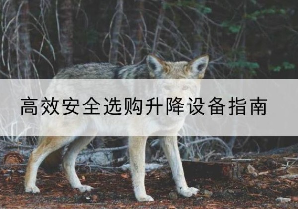 清江浦升降货梯厂家推荐-*安全选购升降设备指南