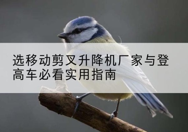 清江浦电动升降机厂家-选移动剪叉升降机厂家与登高车必看实用指南