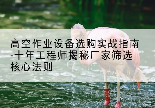 清江浦剪叉式升降机厂家-高空作业设备选购实战指南-十年工程师揭秘厂家筛选核心法则